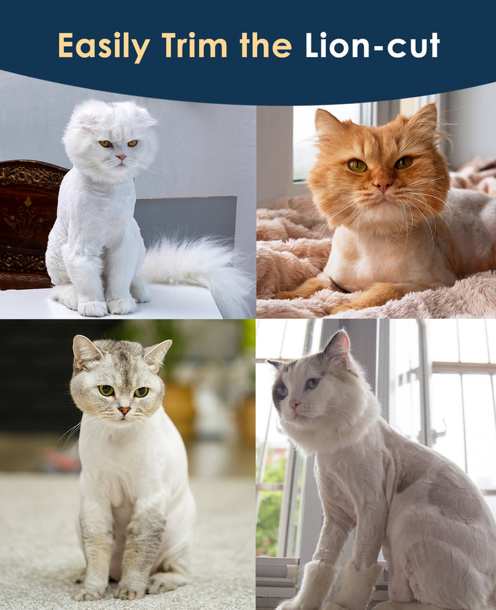 Oneisall X2 2 Speeds Cat Clipper