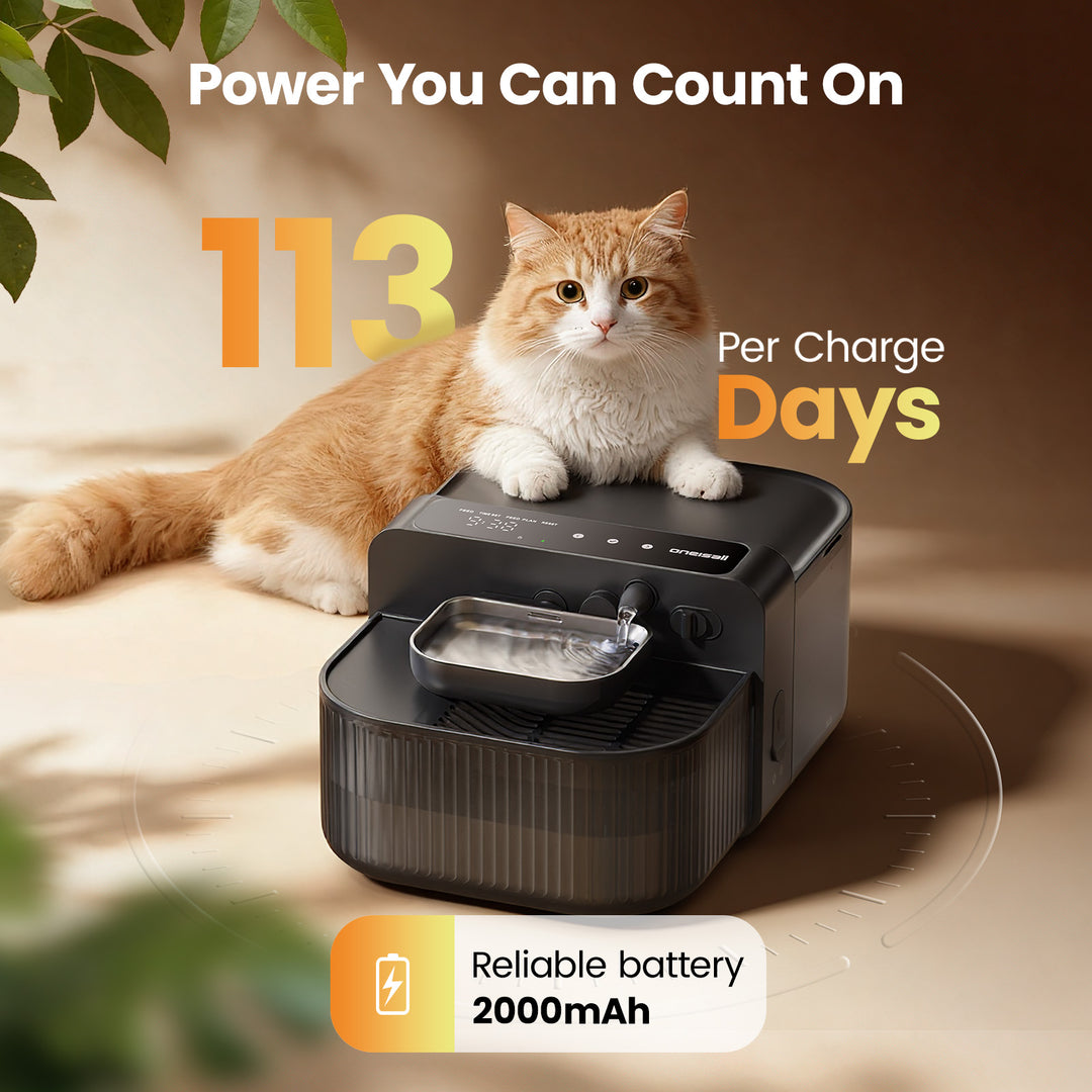 Oneisall 3.5L FreshFill Filterless Cat Water Dispenser with Fresh Water System