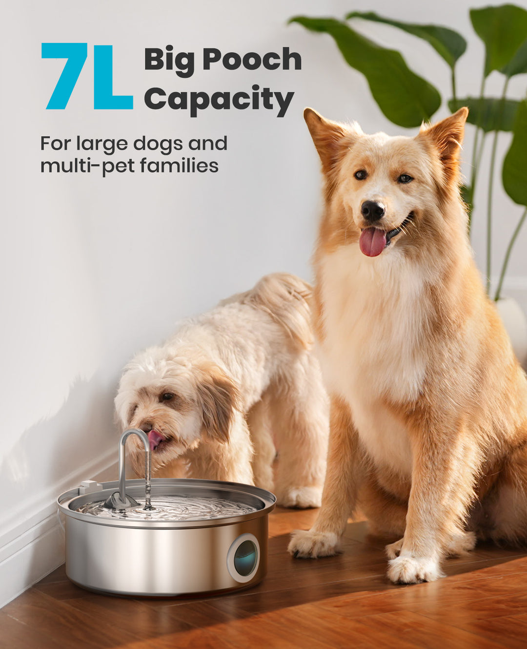 Oneisall 7L Fuente de agua para mascotas con nivel de agua visual y cable de alimentación de 1,5 m