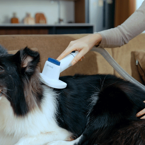 Oneisall Cozy C1 Pet Grooming Vacuum & Dryer Slicker Brush Replacement