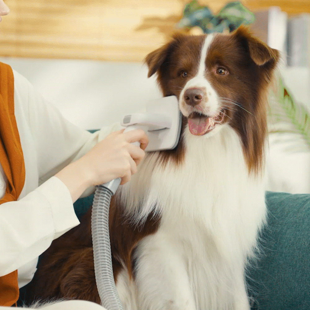 Oneisall Hunde-Entfilzungsbürste Für Staubsauger LM2 & LM5 – Entfernt Effektiv Haare!