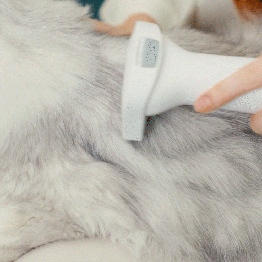 Oneisall LM5 4-in-1 Pet Grooming Vacuum Kit