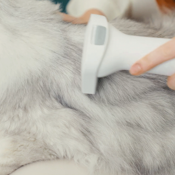 Oneisall LM5 4-in-1 Pet Grooming Vacuum Kit