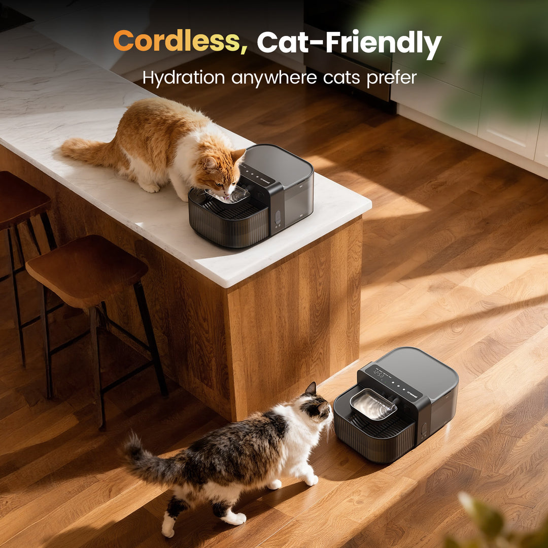 Oneisall 3.5L FreshFill Filterless Cat Water Dispenser with Fresh Water System
