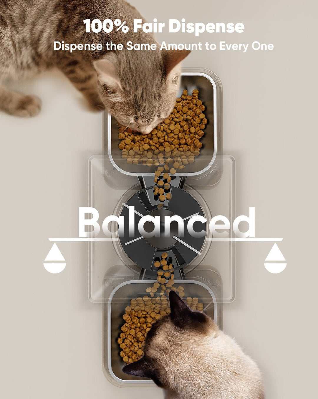 Oneisall 5L Automatic Cat Feeder for Two Cats - Black - Oneisall - EU