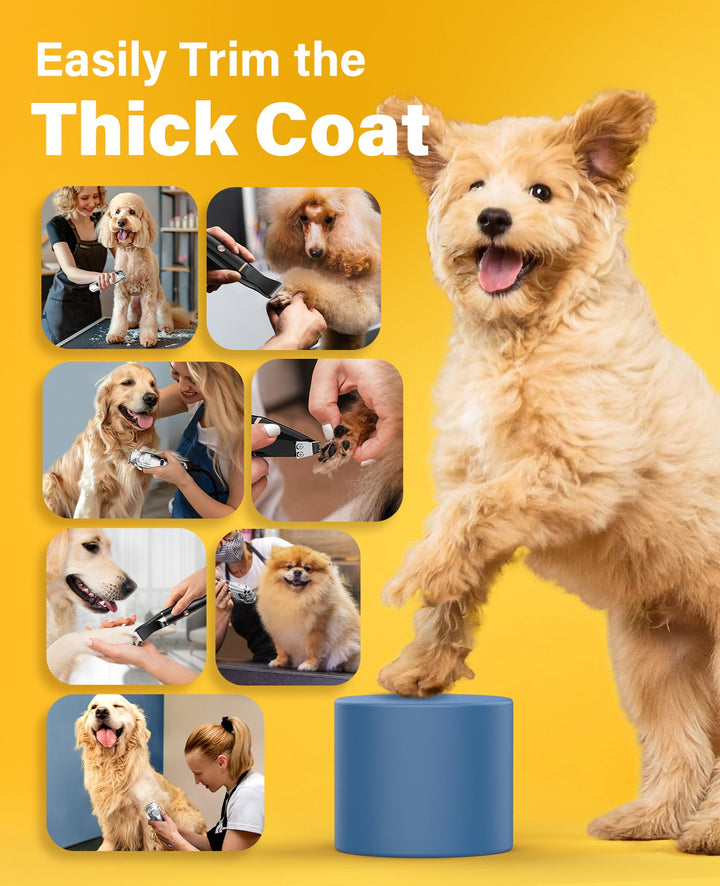 Oneisall 676+P20 3 - in - 1 Dog Clipper and Paw Trimmer Set - Oneisall - EU