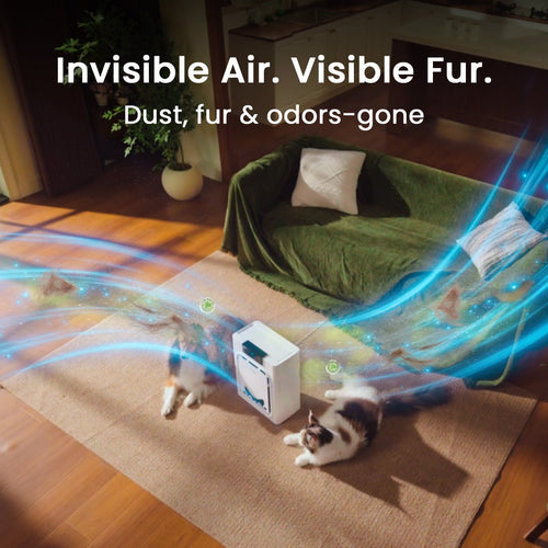 Oneisall Air Purifier for Homes with Pets, Double - Sided Inlet - Oneisall - EU