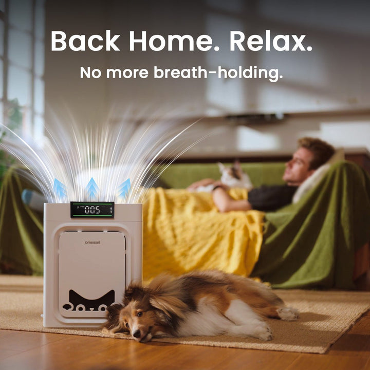 Oneisall Air Purifier for Homes with Pets, Double - Sided Inlet - Oneisall - EU