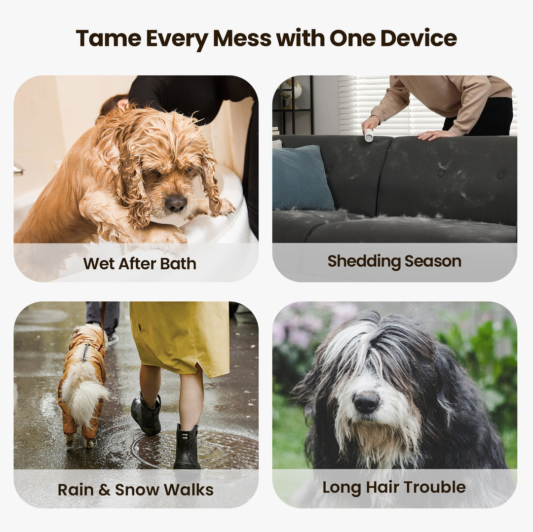 Oneisall Cozy C1 8 - in - 1 Pet Grooming Vacuum & Dryer & 3 Blades Replacement Set - Oneisall - EU