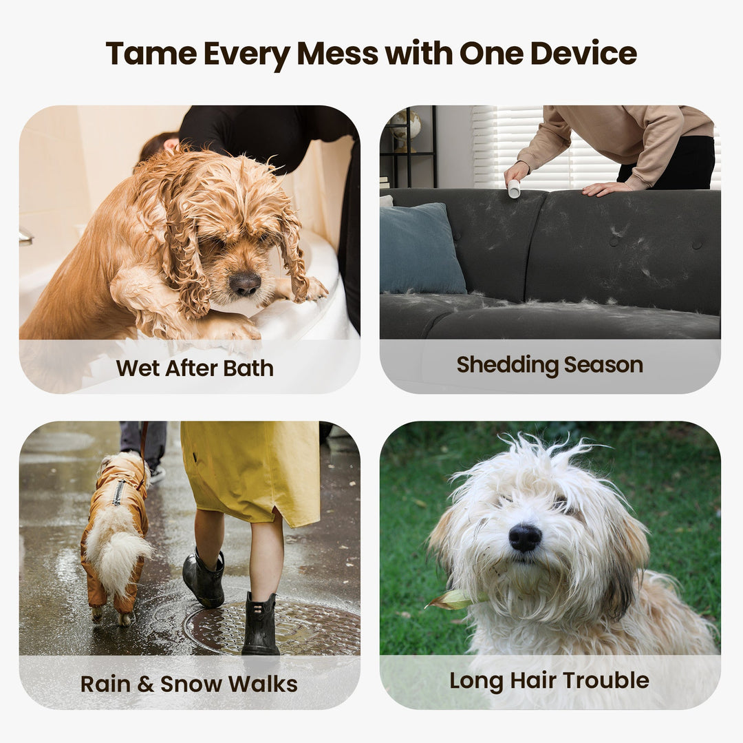 Oneisall Cozy C1 8 - in - 1 Pet Grooming Vacuum & Dryer Kit - Oneisall - EU