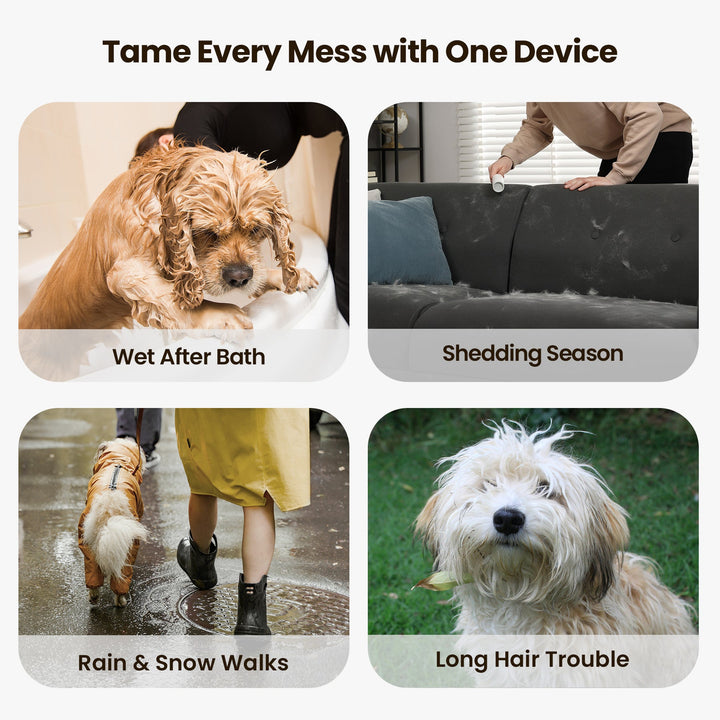 Oneisall Cozy C1 8 - in - 1 Pet Grooming Vacuum & Dryer Kit - Oneisall - EU
