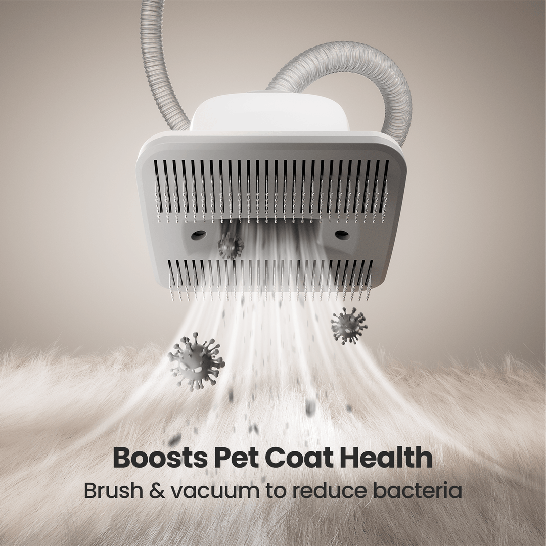 Oneisall LM2 Pet Grooming Vacuum & 3 Blades Replacement Set