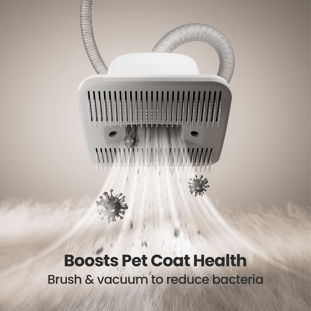Oneisall LM2 Pet Grooming Vacuum & Grooming Brush & Deshedding Brush Replacement Set - Oneisall - EU