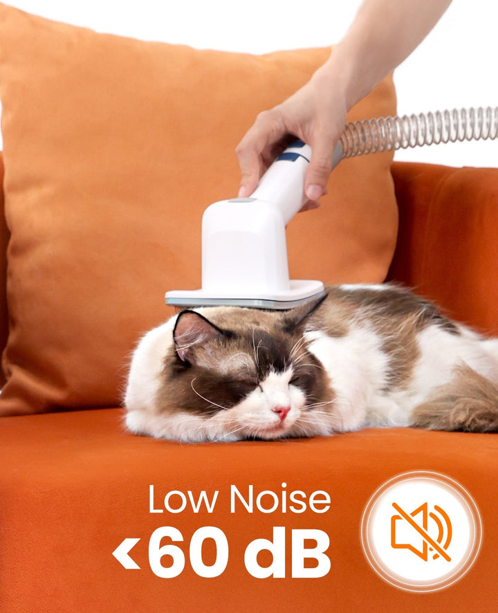 Oneisall LM2 Pet Grooming Vacuum Kit & 2L Cat Water Fountain & 3.5L Automatic Cat Feeder Set - Oneisall - EU