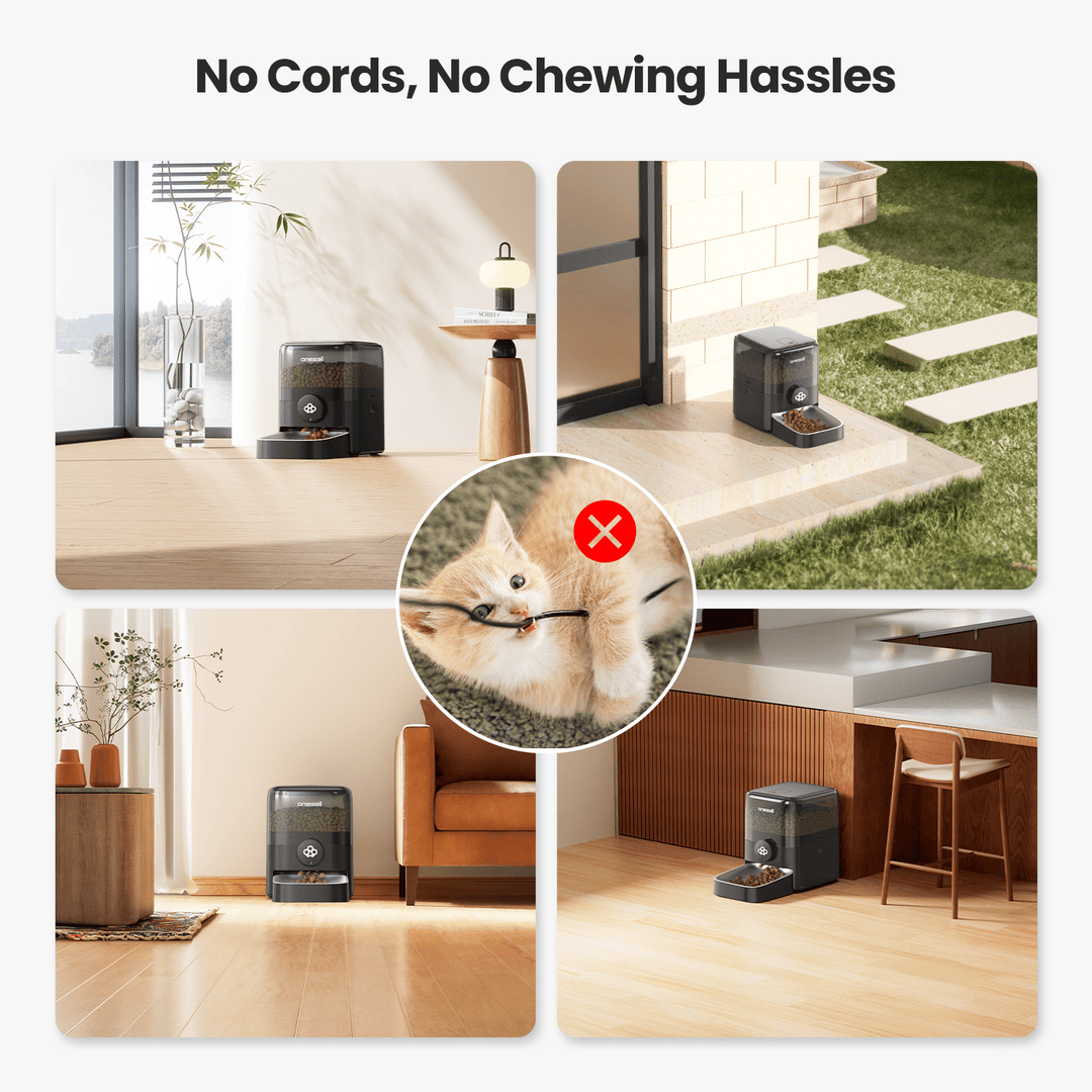 Oneisall PF06 3L Cordless Smart Cat Feeder with APP Control - Oneisall - EU