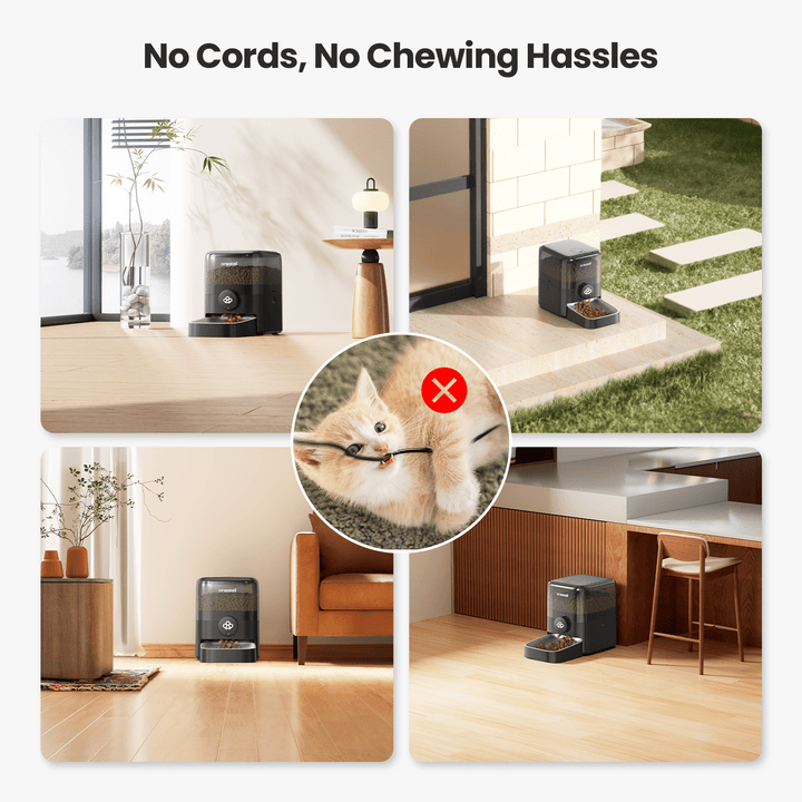 Oneisall PF06 3L Cordless Smart Cat Feeder with APP Control - Oneisall - EU