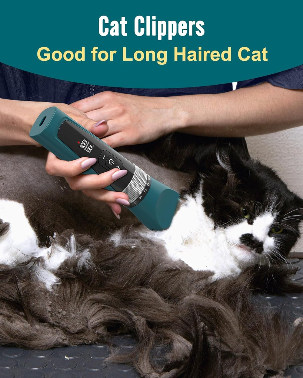 Oneisall YP - 7268 5 Speeds Cat Clipper - Oneisall - EU