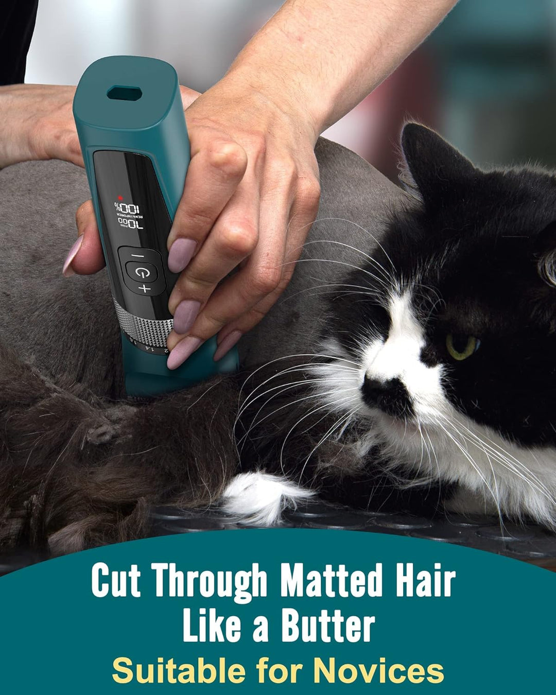 Oneisall YP - 7268 5 Speeds Cat Clipper - Oneisall - EU